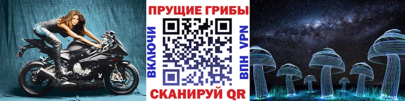 OMG рабочий сайт  Абакан  Псилоцибиновые грибы Psilocybine cubensis 